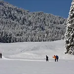 Vakantieboerderij Obergasser Und Bergblick Weissensee