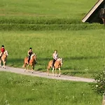 Obergasser Und Bergblick