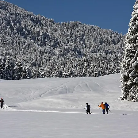 Farma Obergasser Und Bergblick Weissensee