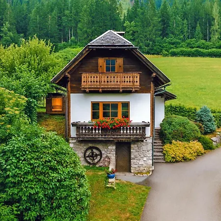 Obergasser Und Bergblick *