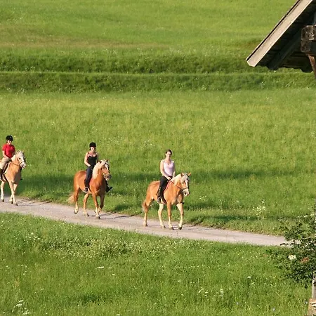 Obergasser Und Bergblick