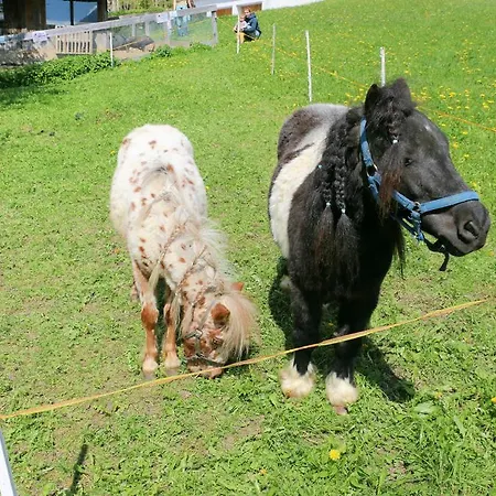 Obergasser Und Bergblick