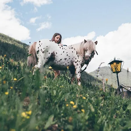 Obergasser Und Bergblick Farm stay
