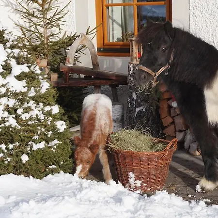Obergasser Und Bergblick *