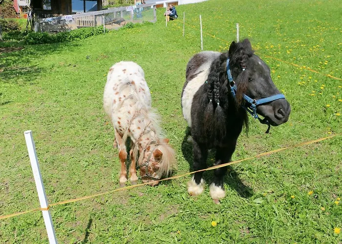Obergasser Und Bergblick