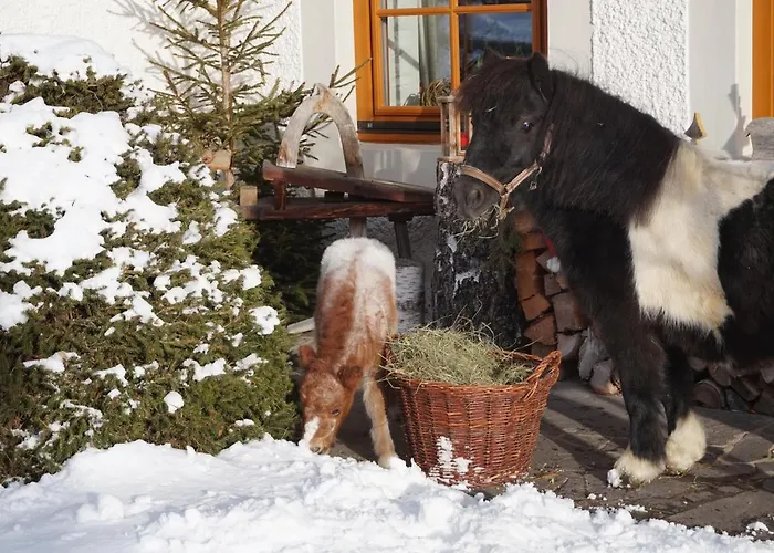 Obergasser Und Bergblick *